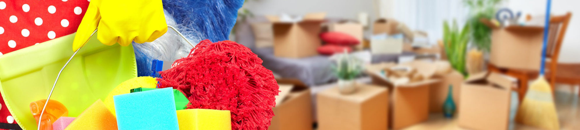 Apartment Cleaning Serving